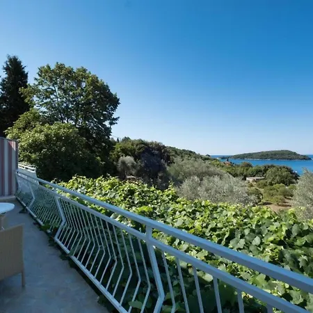 Apartment Saulan - One Bedroom With Balcony And Sea View Molunat